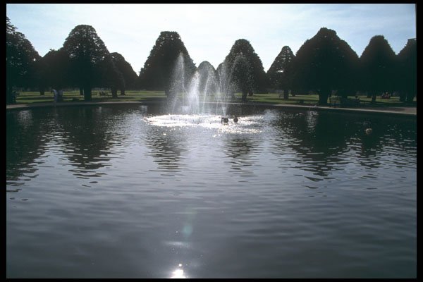 214058 Regent's Park, London, England A4 Photo Print