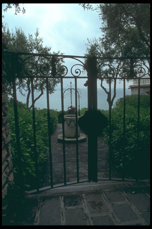 214061 Private Garden, Sirmione, Italy A4 Photo Print