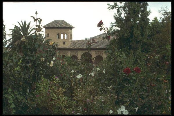 214065 Generalife, The Alhambra Granada, Spain A4 Photo Print