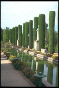 214066 Gardens Of The Alcazar, Cordoba, Spain A4 Photo Print