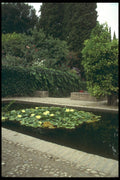 214069 Generalife, The Alhambra, Granada, Spain A4 Photo Print