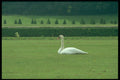 214074 Vaux Le Vicompe, France A4 Photo Print