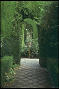 214083 Generalife, The Alhambra, Granada, Spain A4 Photo Print