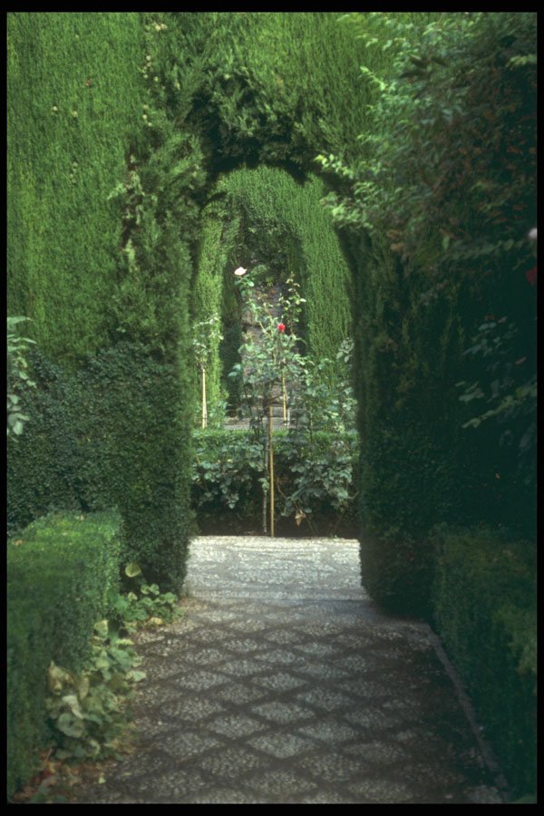 214083 Generalife, The Alhambra, Granada, Spain A4 Photo Print