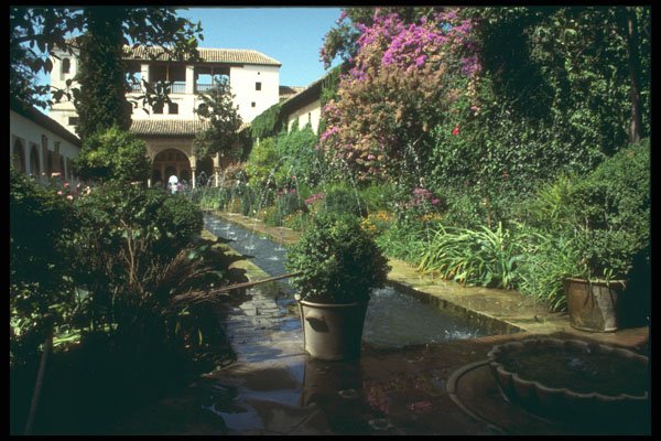 214092 Generalife, Granada, Spain A4 Photo Print