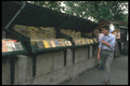 215062 Book Sellers Along The Siene, Paris A4 Photo Print