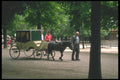 215088 Luxembourg Gardens, Paris A4 Photo Print