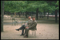 215097 Old Friends, Luxembourg Gardens, Paris A4 Photo Print