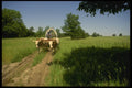 216000 Ox drawn Covered Wagon Traces, Oregon Trail A4 Photo Print