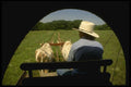 216001 View From Inside Covered Wagon Along Historic Trail A4 Photo Print