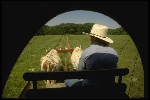 216001 View From Inside Covered Wagon Along Historic Trail A4 Photo Print