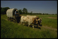 216002 Trail From Missouri River To Pacific Ocean A4 Photo Print