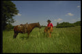 216007 A Pony Express Rider And Mount A4 Photo Print