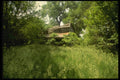 216011 Abandoned Ranch House, Spring Ranch, Nebraska A4 Photo Print