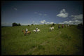 216016 Verdant Valley, View Along Oregon Trail Route A4 Photo Print