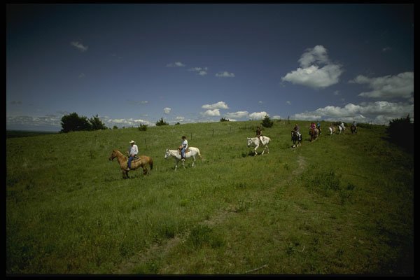 216016 Verdant Valley, View Along Oregon Trail Route A4 Photo Print