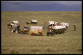 216042 Circling Wagons For An Encampment, Bayard, Nebraska A4 Photo Print