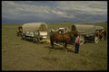 216044 Experienced Wranglers Secure Horses For Encampment A4 Photo Print
