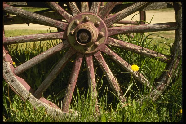216061 Spokes And Wagon Wheel, Original Oregon Trail Carriage A4 Photo Print