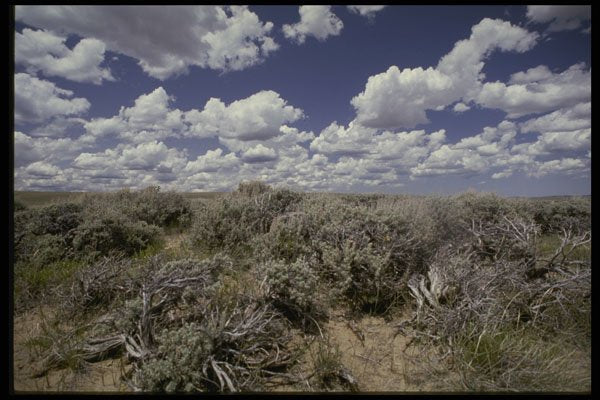 216065 Low Clouds And High Sage, Continental Divide, Wyoming A4 Photo Print