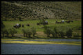 216086 Wagons Approach To Attempt The Challenging Crossing A4 Photo Print