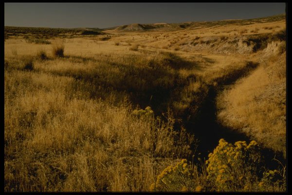 216091 Ruts Cut Through Oregon's Malheur County Sod A4 Photo Print