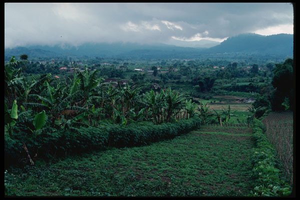 217001 A Java Landscape A4 Photo Print
