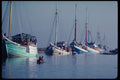 217003 Jakarta, Maccasar Schooners A4 Photo Print