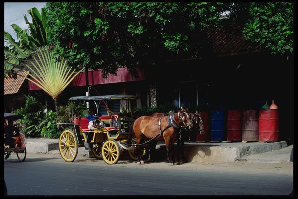217037 Yogyakarta, A Horse Cab A4 Photo Print