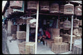 217052 Yogyakarta, The Bird Market A4 Photo Print