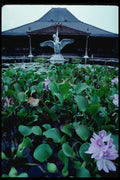 217060 Surakarta, The Sultan's Residence A4 Photo Print