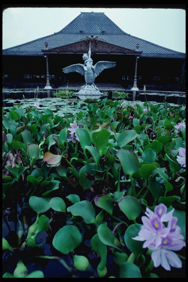 217060 Surakarta, The Sultan's Residence A4 Photo Print