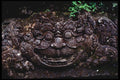 217069 Stone Carving At Plaosan Temple A4 Photo Print