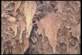 218011 Sonora Caverns, Texas A4 Photo Print