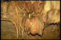 218042 Natural Bridge Caverns, Texas A4 Photo Print