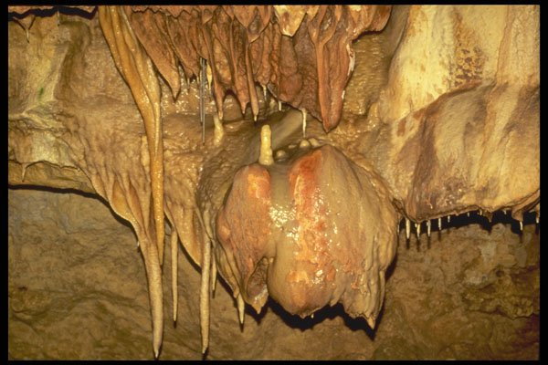 218042 Natural Bridge Caverns, Texas A4 Photo Print