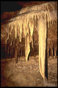 218043 Inner Space Caverns, Texas A4 Photo Print