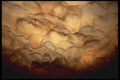 218044 Inner Space Caverns, Texas A4 Photo Print