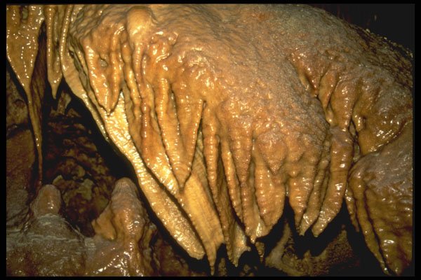 218047 Inner Space Caverns, Texas A4 Photo Print