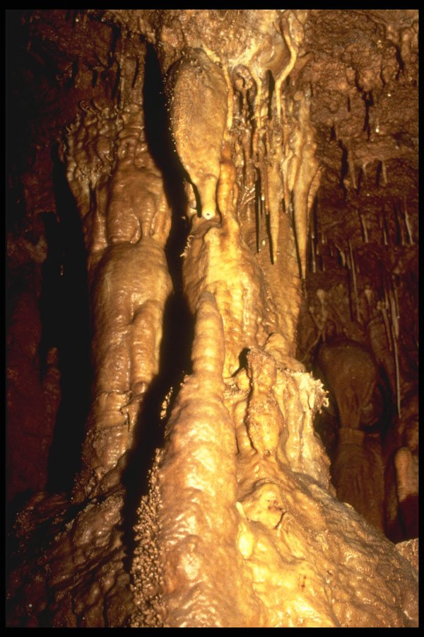 218052 Inner Space Caverns, Texas A4 Photo Print