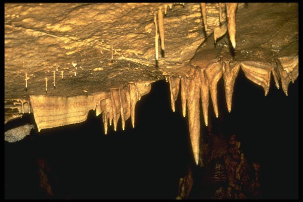 218055 Inner Space Caverns, Texas A4 Photo Print