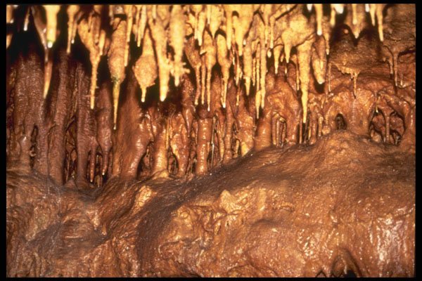 218064 Inner Space Caverns, Texas A4 Photo Print