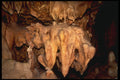 218066 Inner Space Caverns, Texas A4 Photo Print