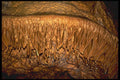 218077 Cave Without A Name, Texas A4 Photo Print