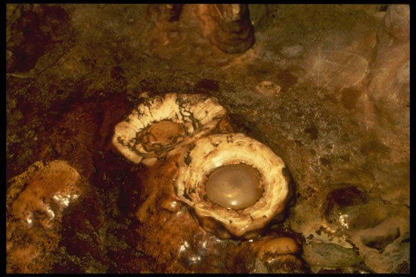 218082 Luray Caverns, Virginia A4 Photo Print