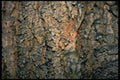 218092 Castle Cave, Australia A4 Photo Print