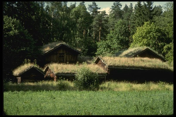 219046 Sod roofed Log Houses, Oslo's Outdoor Folk Museum A4 Photo Print
