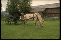 219070 In Mountainous Vos, A Horse And Carriage Are A Proven Team A4 Photo Print