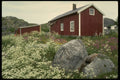 219086 Farm House And Wildflowers, Svolvaer Outskirts A4 Photo Print
