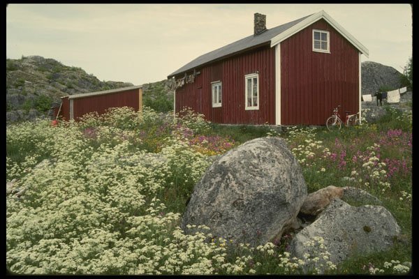 219086 Farm House And Wildflowers, Svolvaer Outskirts A4 Photo Print
